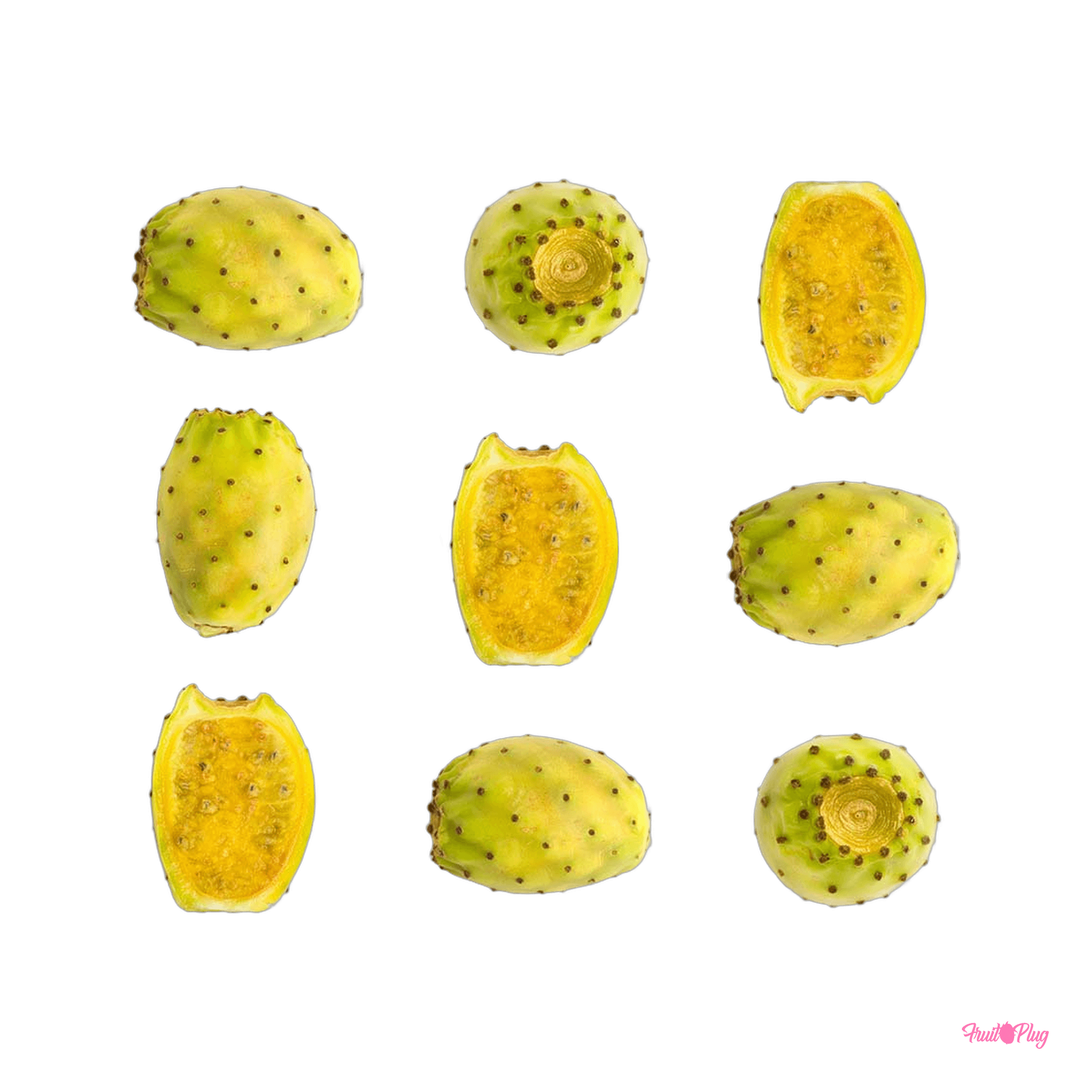 Cactus fruit (prickly pear) — view 2