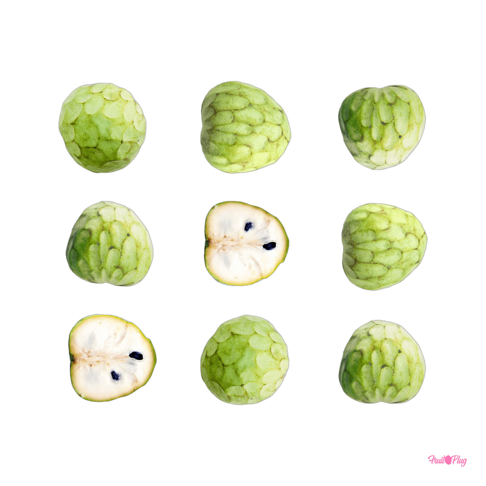 Custard Apple