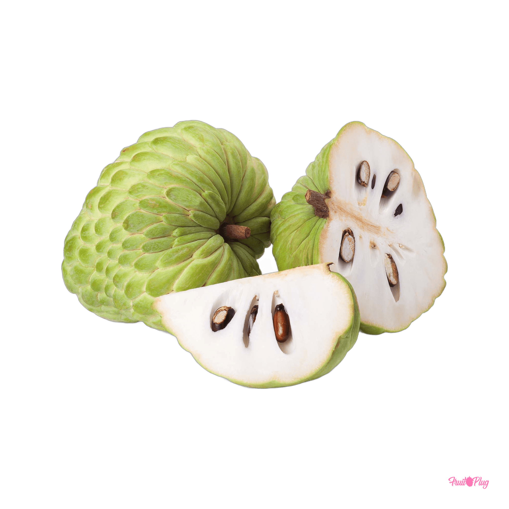 Custard Apple