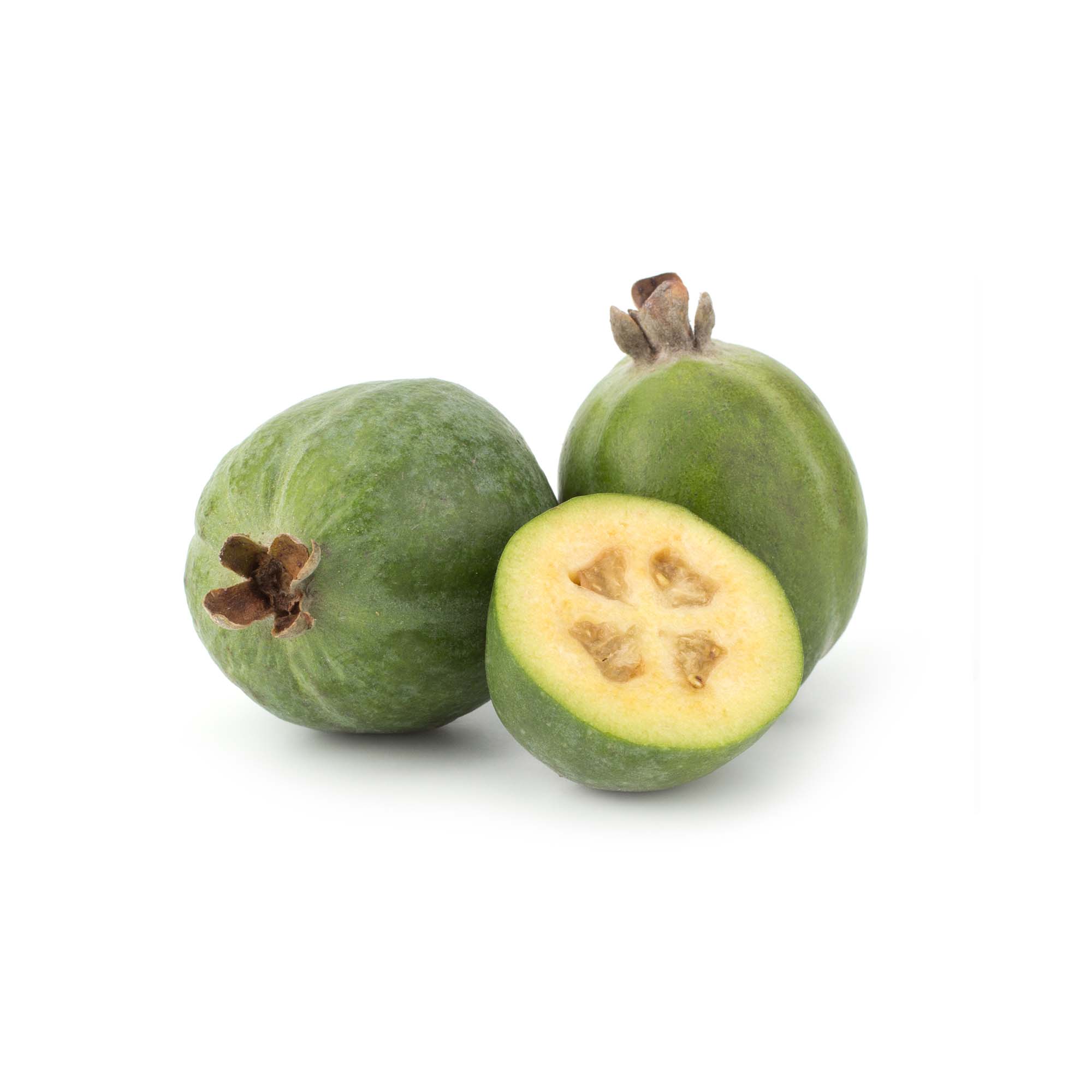 Feijoa