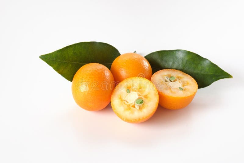 Japanese Kumquat (Kinkan)