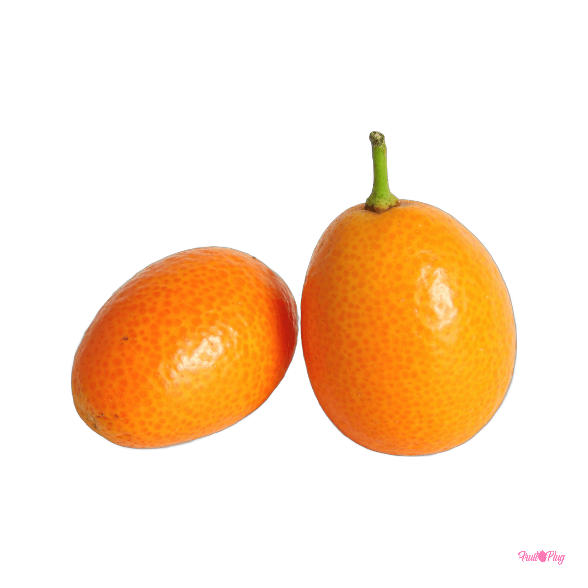 Japanese Kumquat (Kinkan)