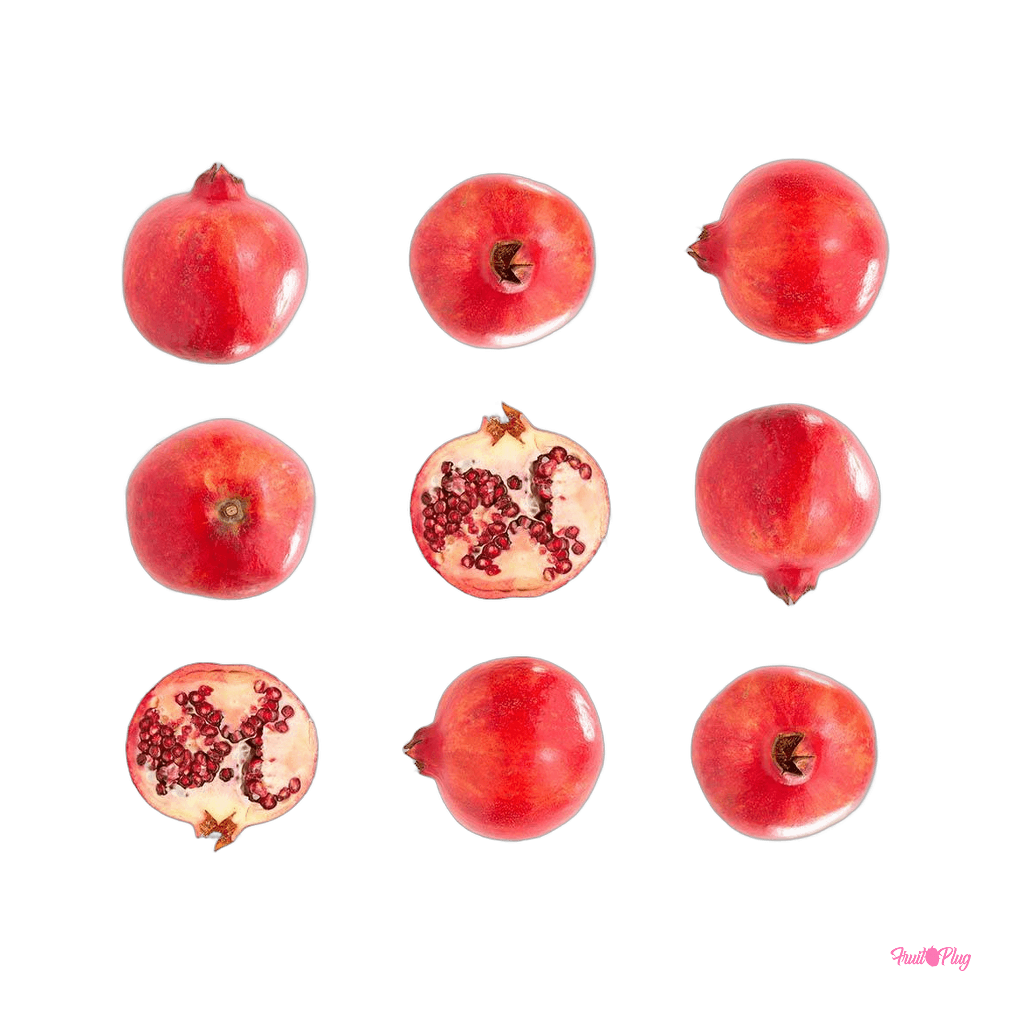 Pomegranate — view 2