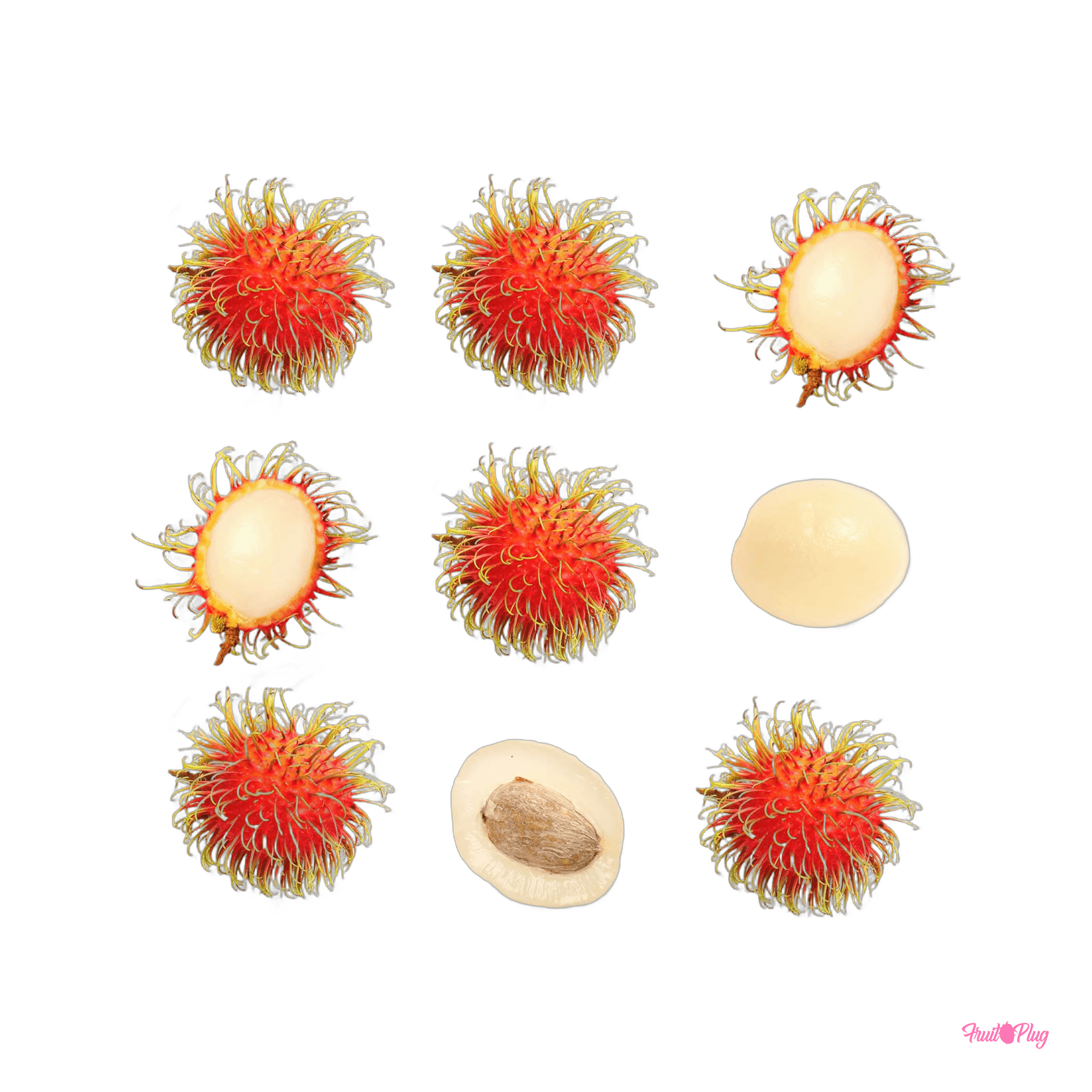 Rambutan