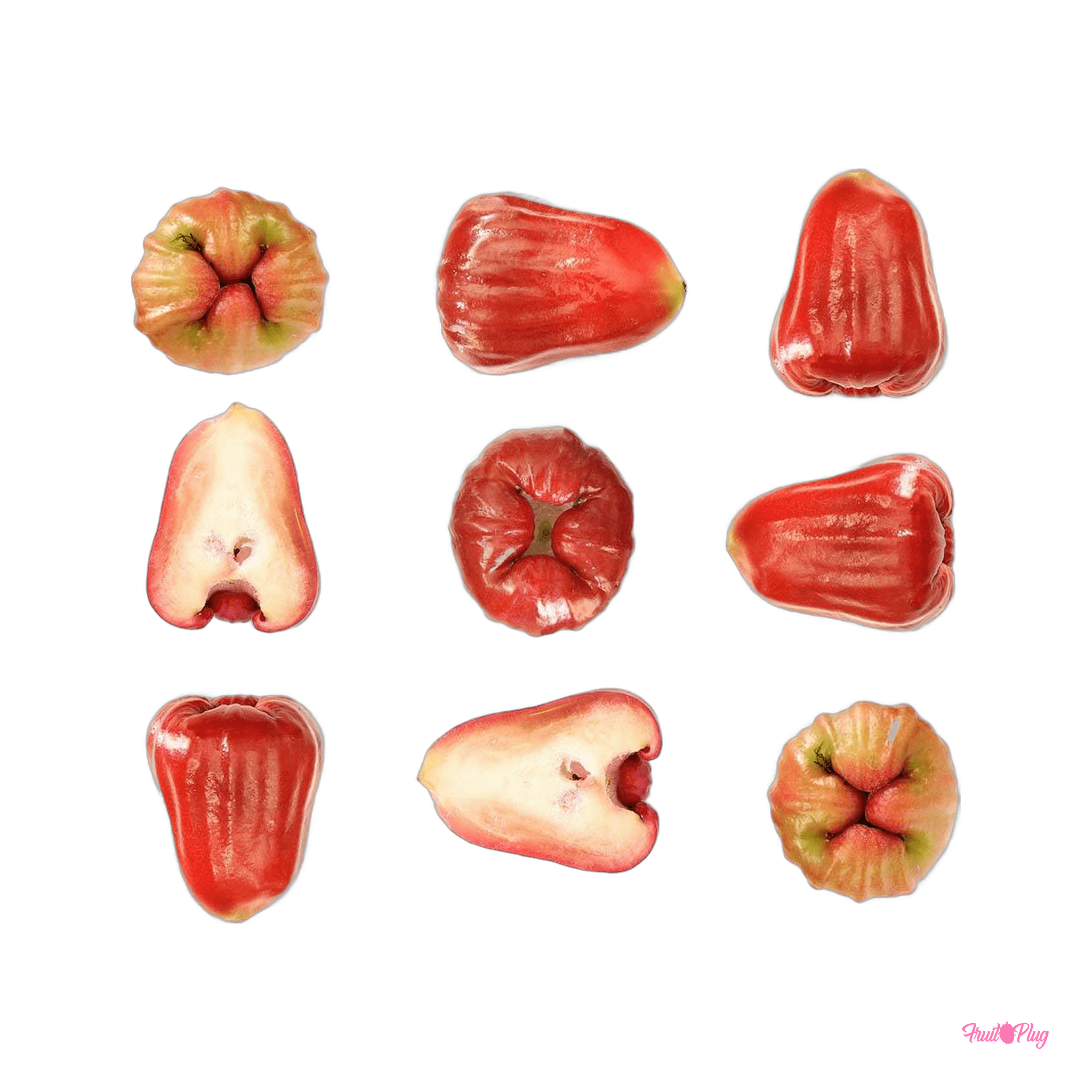 Rose Apple