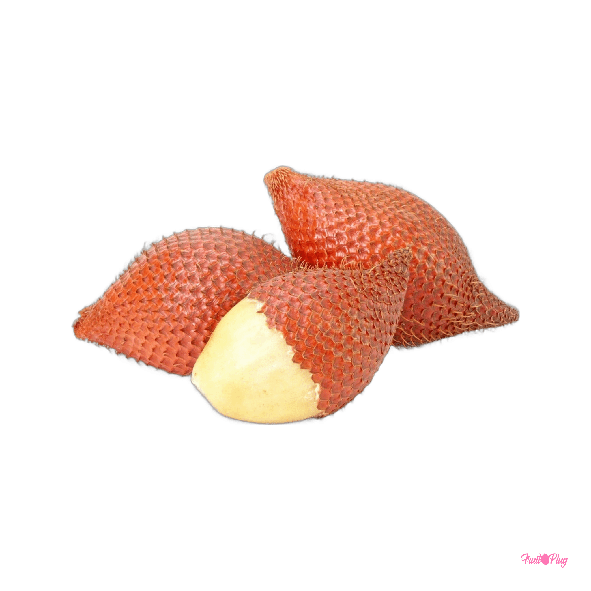 Snake fruit (salak) — view 2