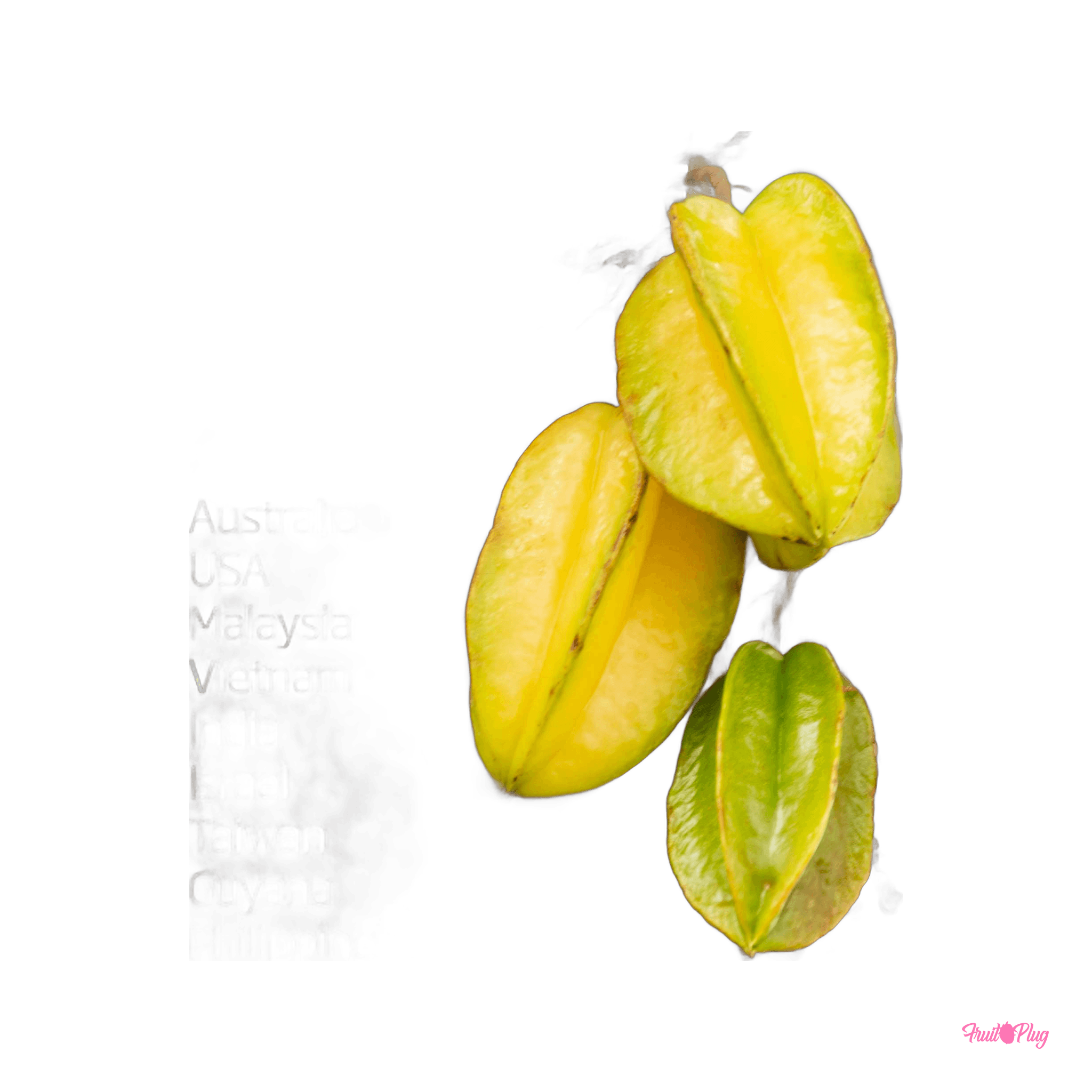 Starfruit — view 4