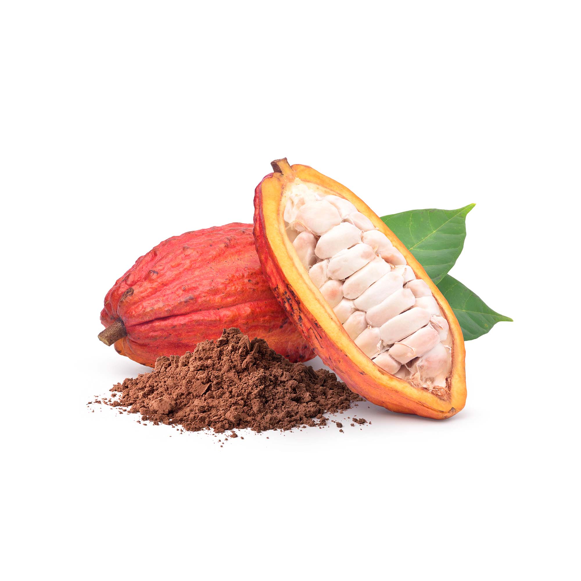 Super-rare cacao pods
