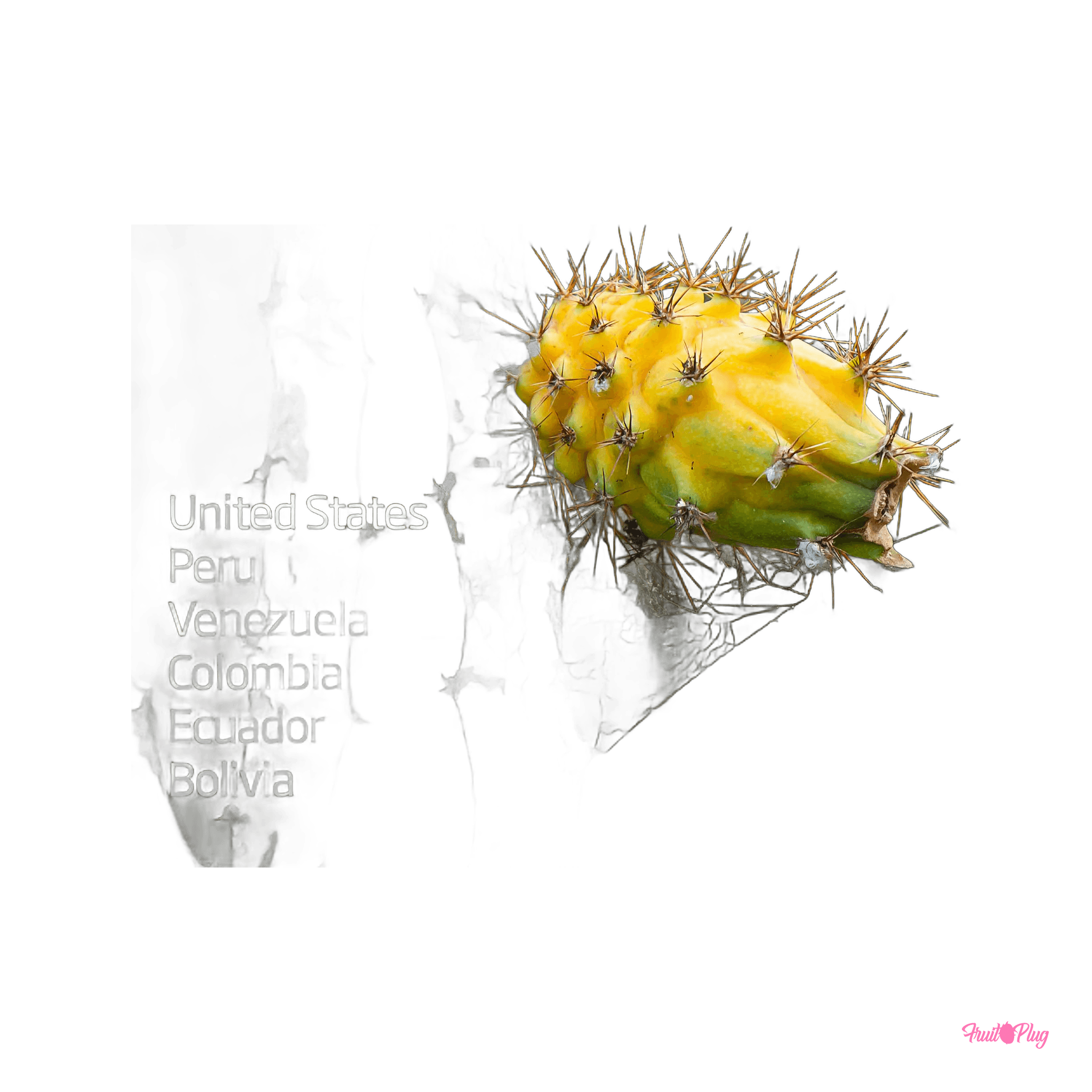 Yellow dragon fruit — view 4