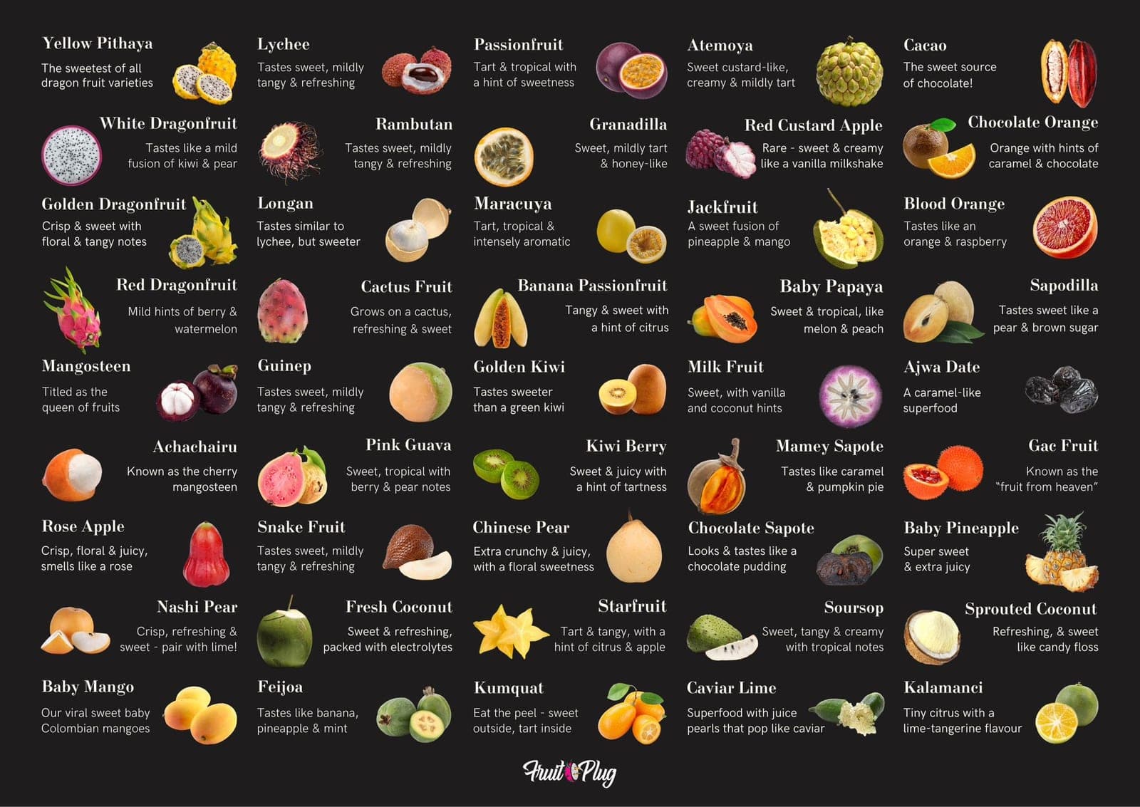 The full Fruit Plug catalogue — 45 fruits we regularly source, photographed on black.