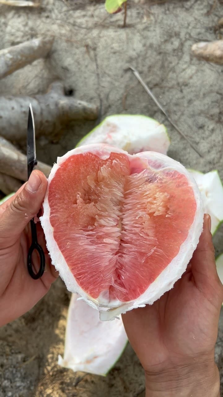 ASMR pomelo — how to open one