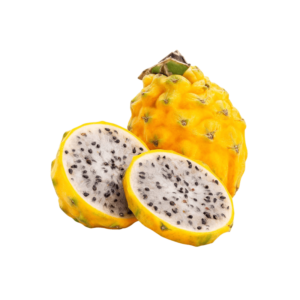 [removal.ai]_tmp-6363ebca1ee36