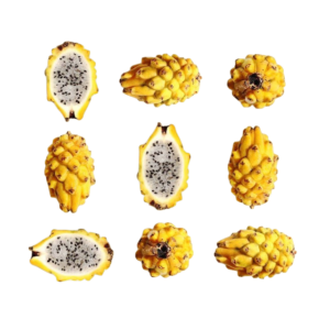 [removal.ai]_tmp-6363ebeec2206