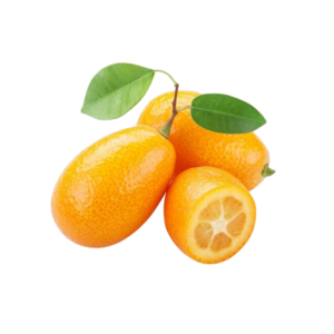 kumquat