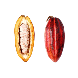 add a subheading (17)